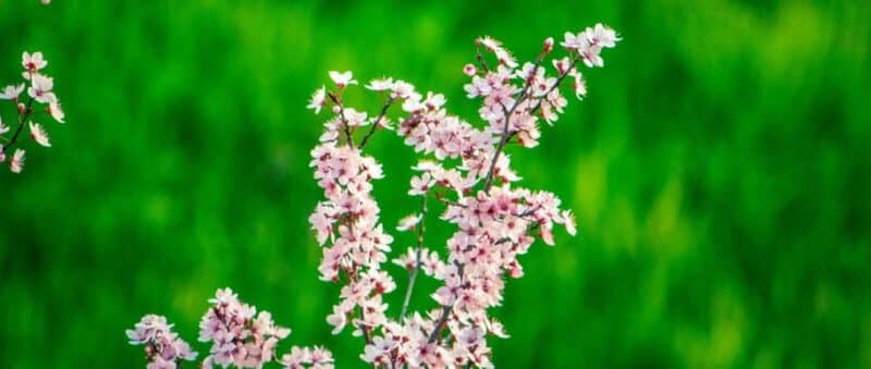 Akordiyon Kapı Bahar Kampanyası