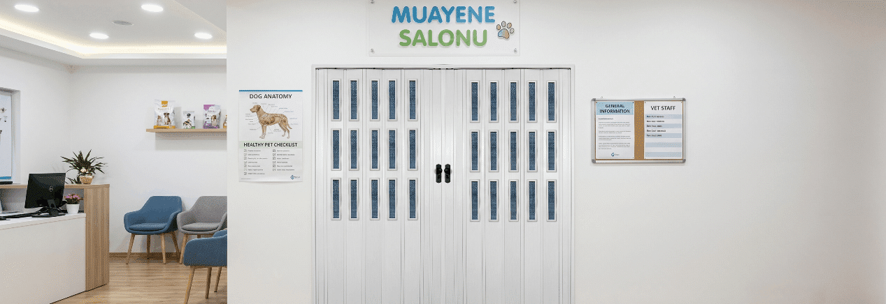 Akordiyon Kapı